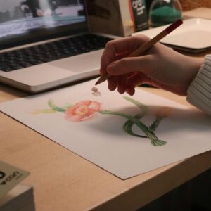 Workshops